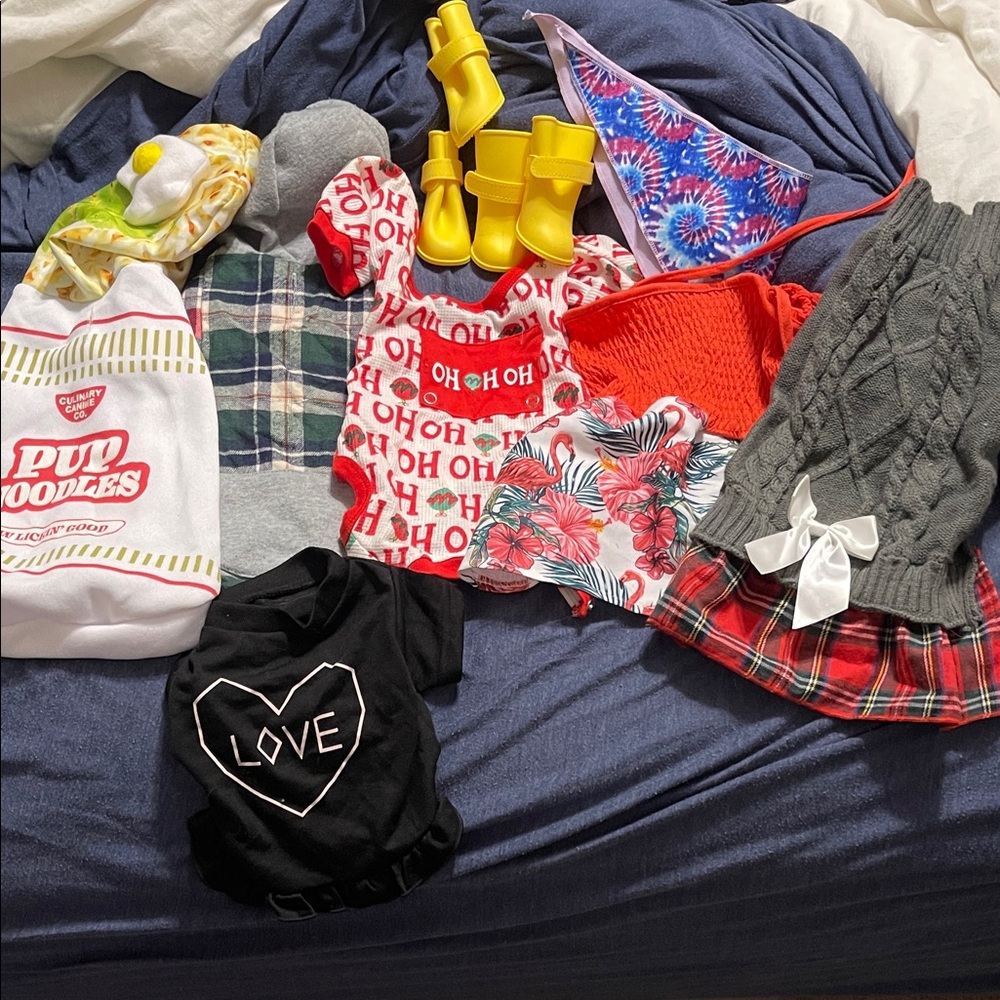 Small girl dog clothing bundle